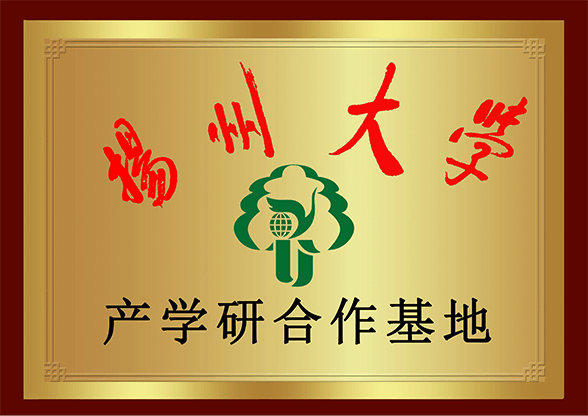 荣誉证书1
